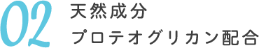 天然成分プロテオグリカン配合